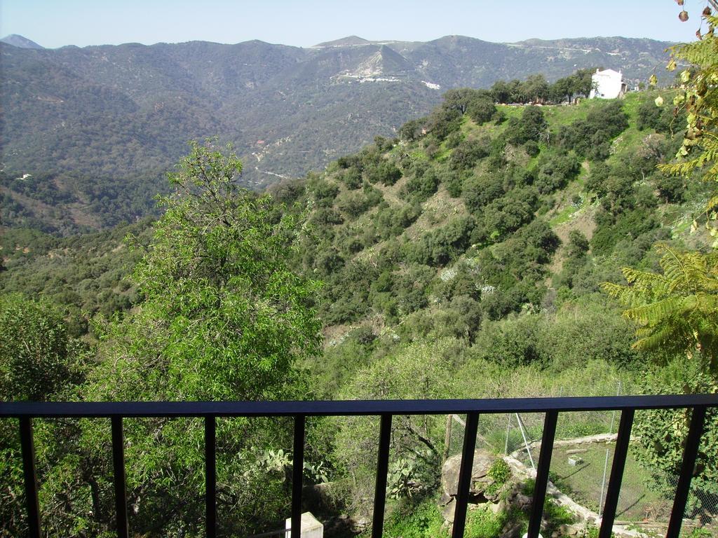 Casas Rurales Jardines Del Visir Хенальгвасиль Экстерьер фото