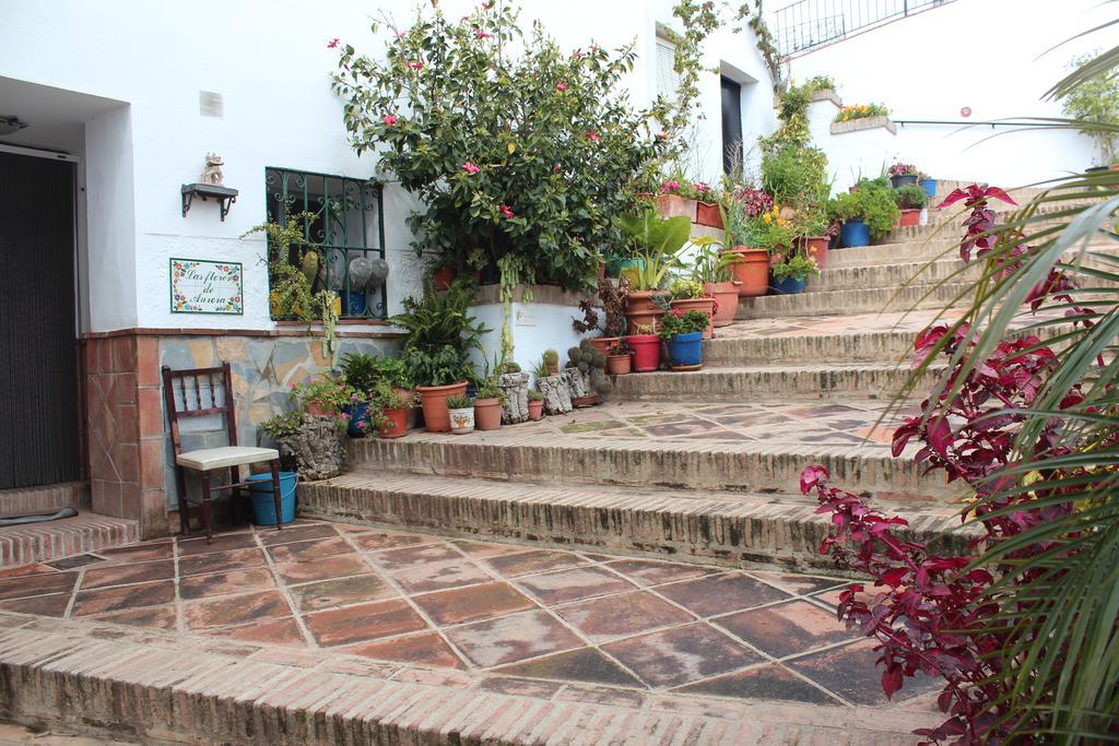 Casas Rurales Jardines Del Visir Хенальгвасиль Экстерьер фото