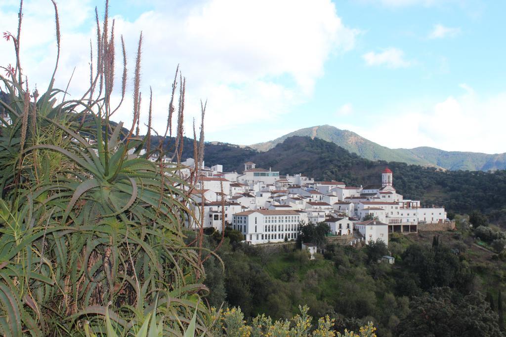Casas Rurales Jardines Del Visir Хенальгвасиль Экстерьер фото