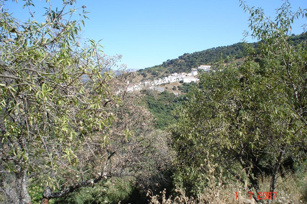 Casas Rurales Jardines Del Visir Хенальгвасиль Экстерьер фото