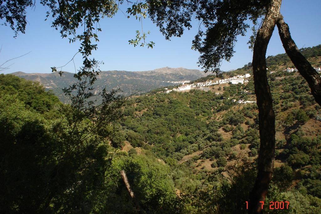 Casas Rurales Jardines Del Visir Хенальгвасиль Экстерьер фото