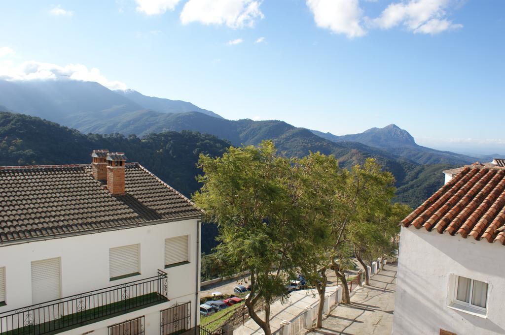 Casas Rurales Jardines Del Visir Хенальгвасиль Экстерьер фото