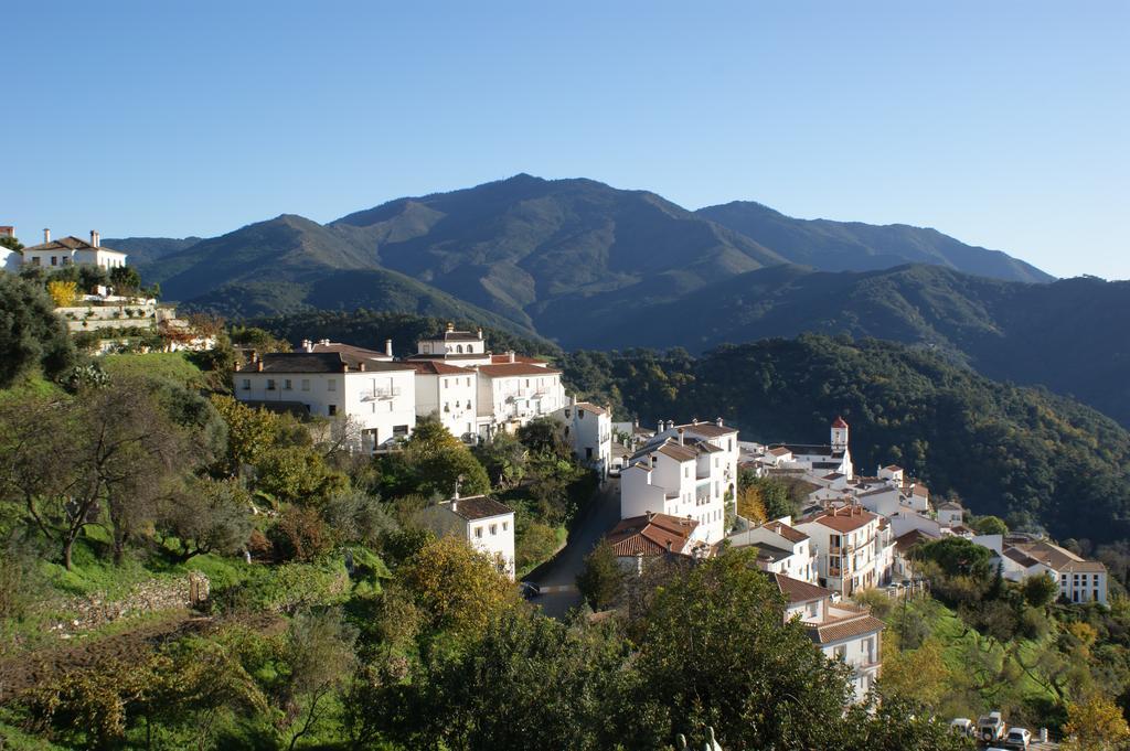 Casas Rurales Jardines Del Visir Хенальгвасиль Экстерьер фото
