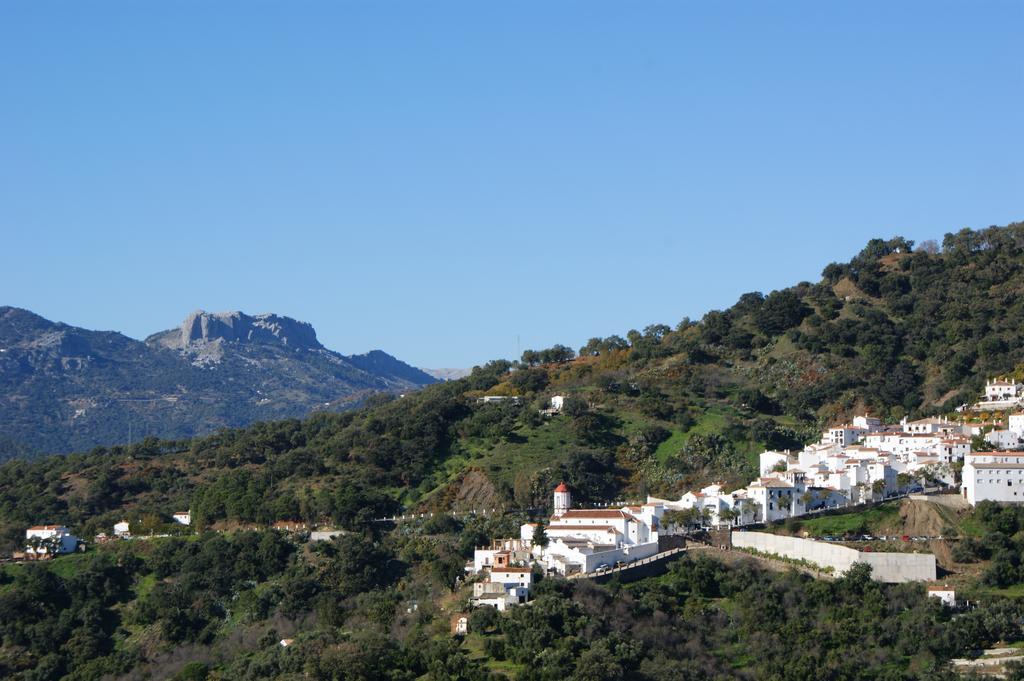 Casas Rurales Jardines Del Visir Хенальгвасиль Экстерьер фото